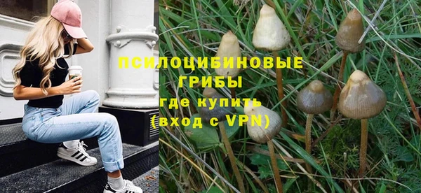 ECSTASY Осинники