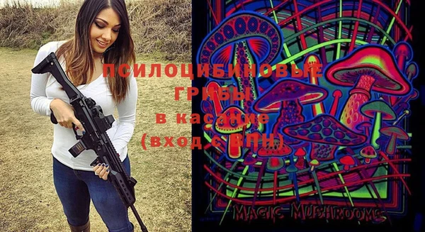 ECSTASY Осинники