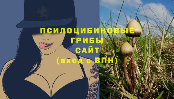 ешки Остров