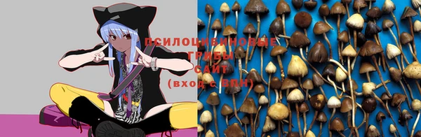jwh Осташков