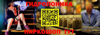 дживик Бийск