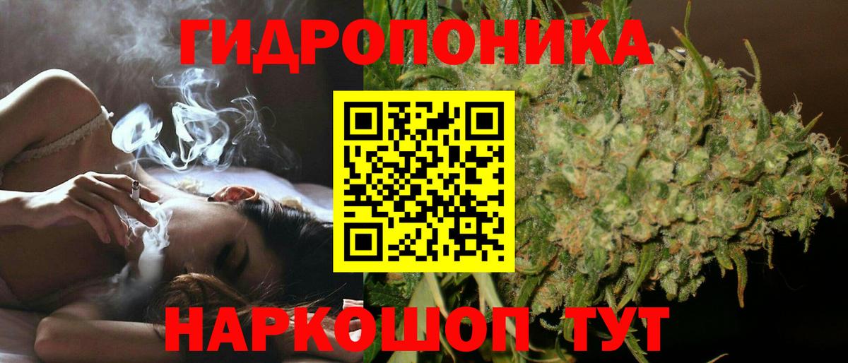 Конопля планчик  Бошки Шишки сатива  Марихуана White Widow  Вход с VPN  Шишки марихуана Ganja  Вязьма 